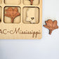 a wooden puzzle with a picture of the state of mississippi